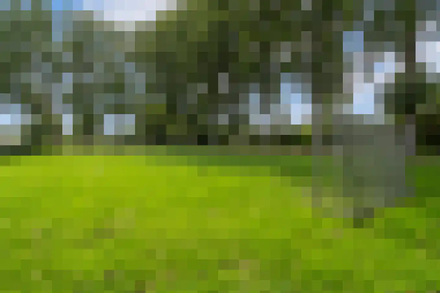 Runmolen 17 Alkmaar thumbnail 42