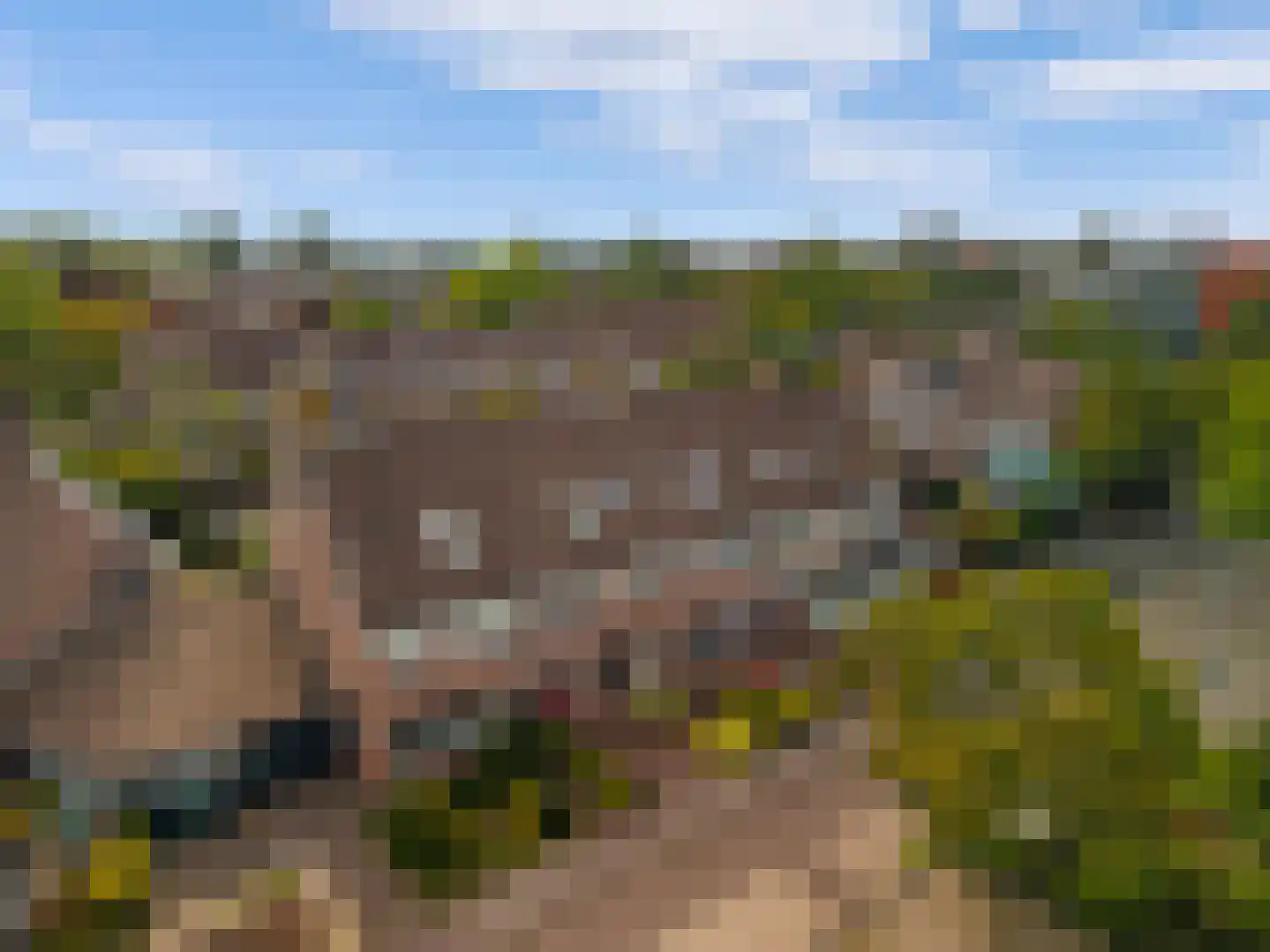 Runmolen 17 Alkmaar thumbnail 5