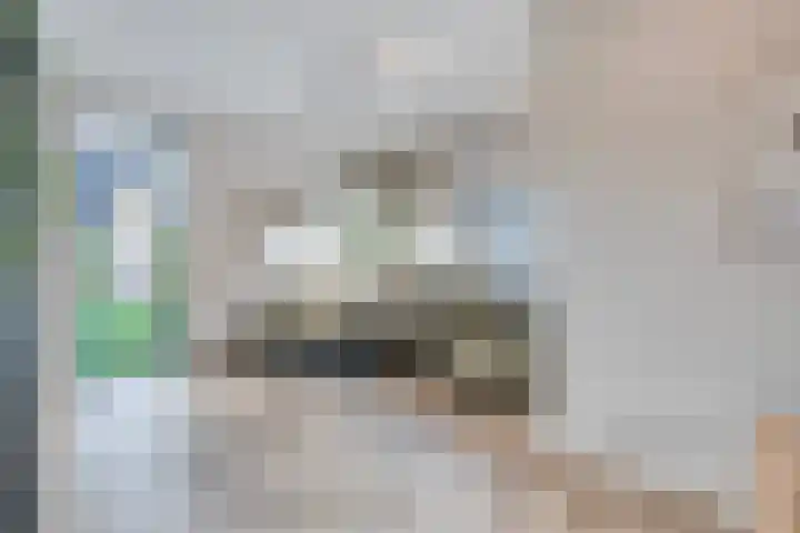 Runmolen 25 Zwolle thumbnail 12