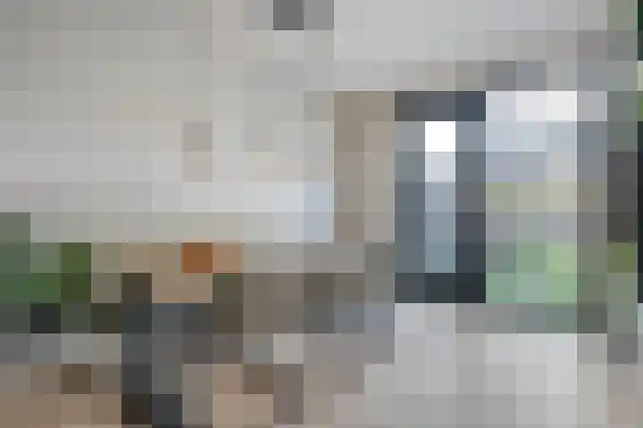 Runmolen 25 Zwolle thumbnail 13