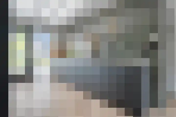 Runmolen 25 Zwolle thumbnail 14