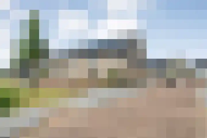 Runmolen 25 Zwolle thumbnail 15