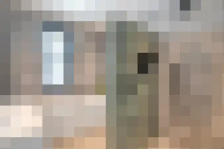 Runmolen 25 Zwolle thumbnail 30
