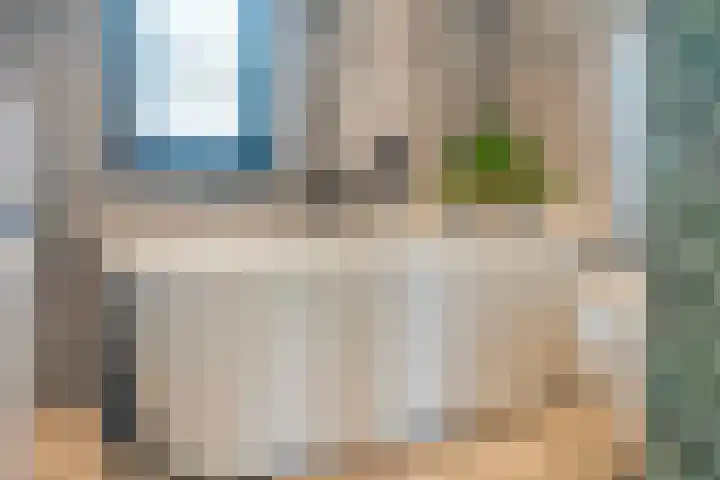 Runmolen 25 Zwolle thumbnail 31