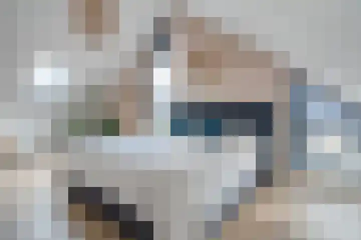 Runmolen 25 Zwolle thumbnail 33