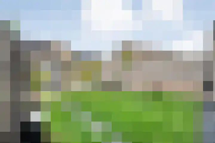 Runmolen 25 Zwolle thumbnail 37