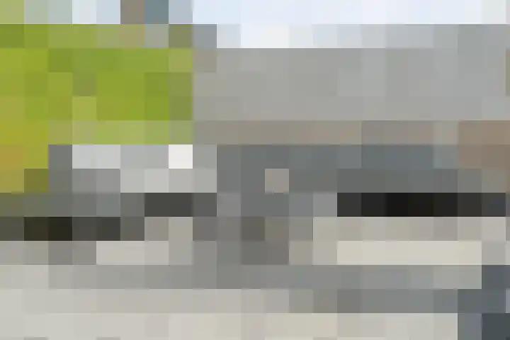 Runmolen 25 Zwolle thumbnail 38