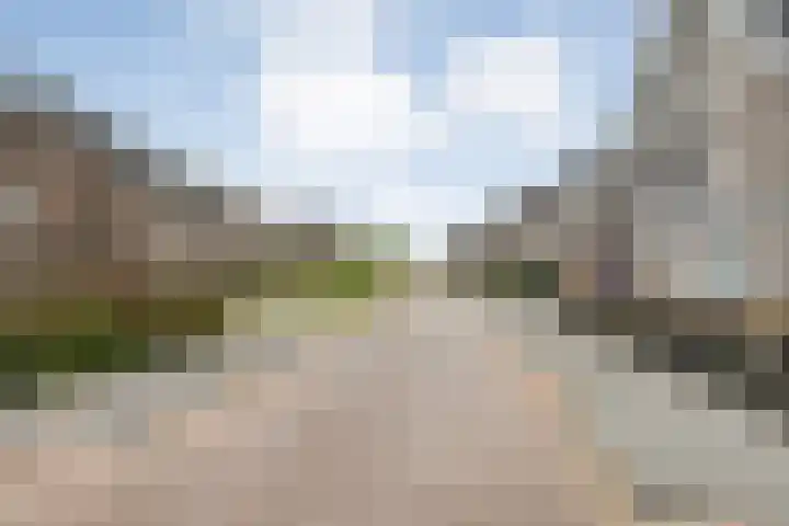 Runmolen 25 Zwolle thumbnail 40