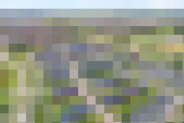 Runmolen 25 Zwolle thumbnail 5