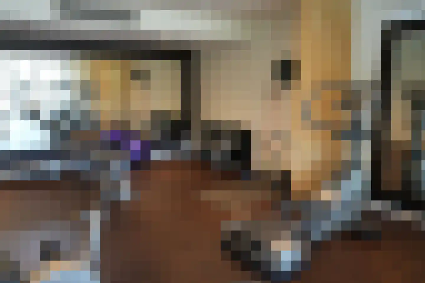 Runmolen 44 Uden thumbnail 30