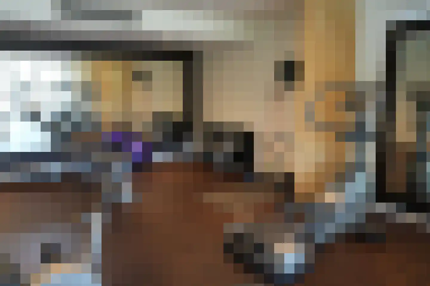 Runmolen 44 Uden thumbnail 30