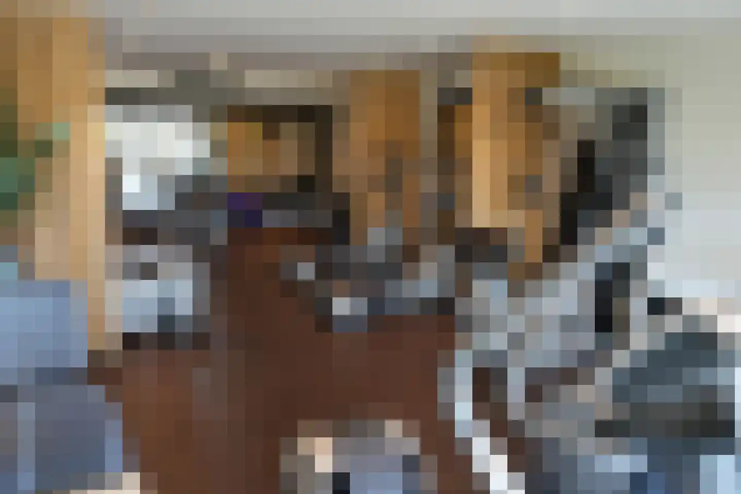 Runmolen 44 Uden thumbnail 4