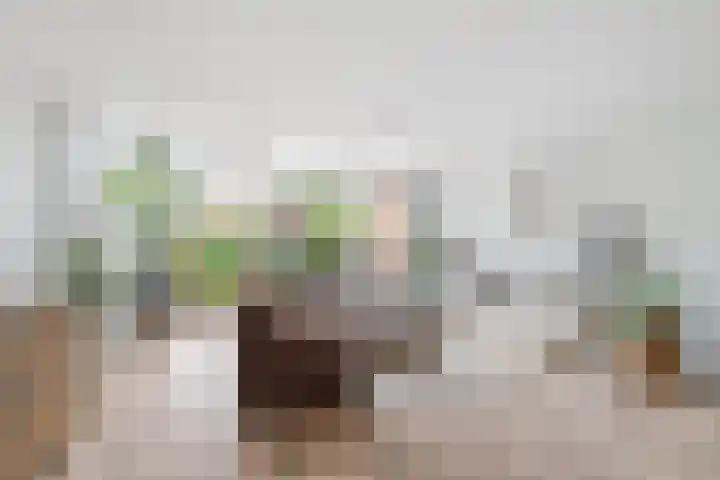 Runmolen 65 Alkmaar thumbnail 11