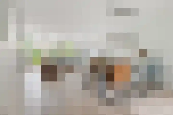 Runmolen 65 Alkmaar thumbnail 15