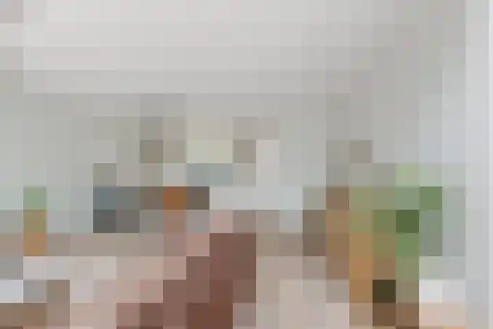 Runmolen 65 Alkmaar thumbnail 17
