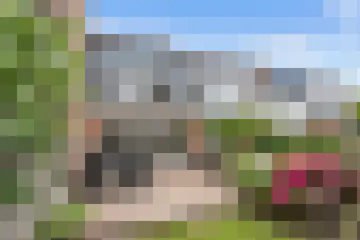 Runmolen 65 Alkmaar thumbnail 4