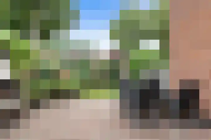 Runmolen 65 Alkmaar thumbnail 44