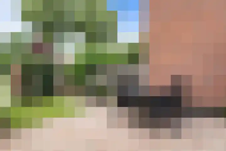 Runmolen 65 Alkmaar thumbnail 45