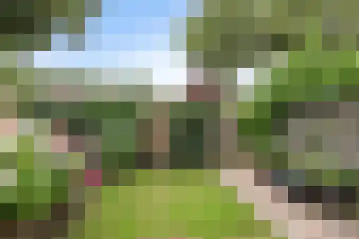 Runmolen 65 Alkmaar thumbnail 46