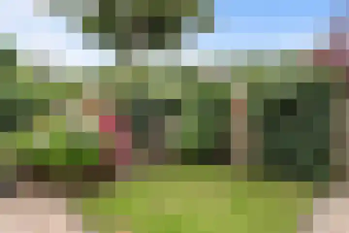 Runmolen 65 Alkmaar thumbnail 47