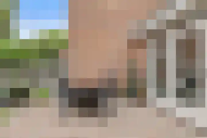 Runmolen 65 Alkmaar thumbnail 49