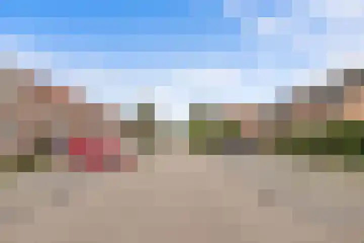 Runmolen 65 Alkmaar thumbnail 51
