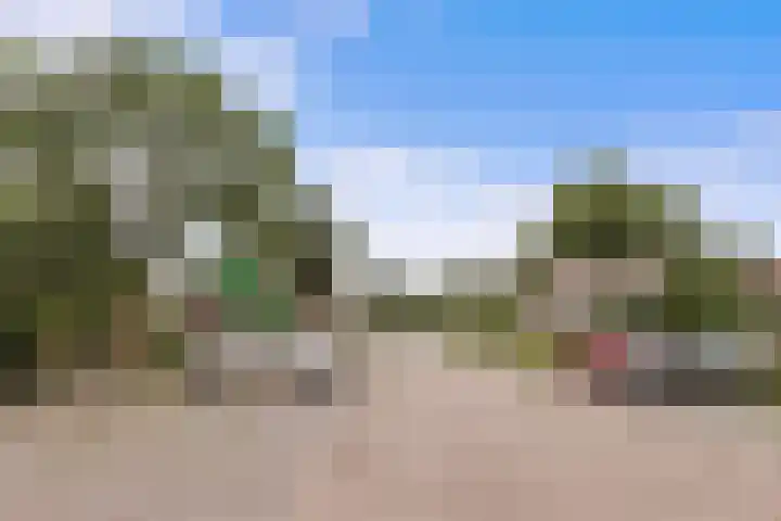 Runmolen 65 Alkmaar thumbnail 52