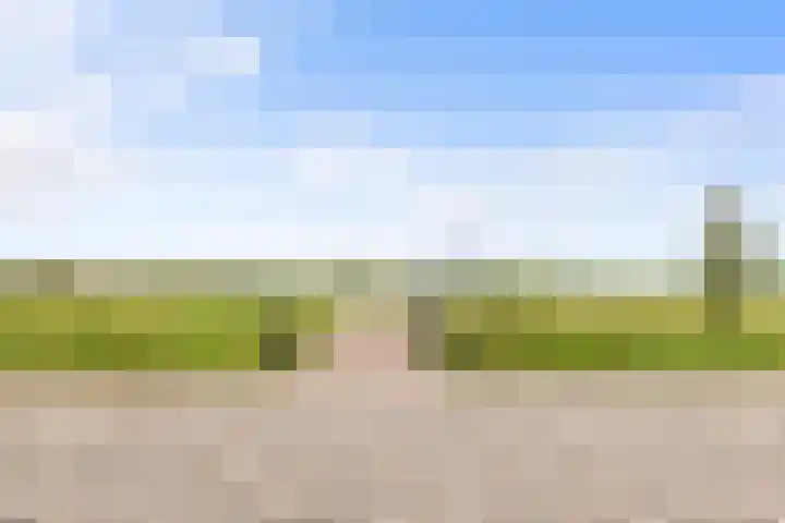 Runmolen 65 Alkmaar thumbnail 54