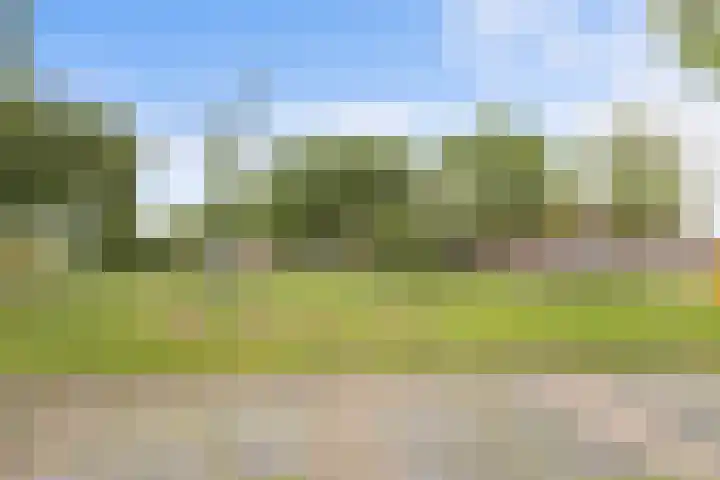Runmolen 65 Alkmaar thumbnail 55