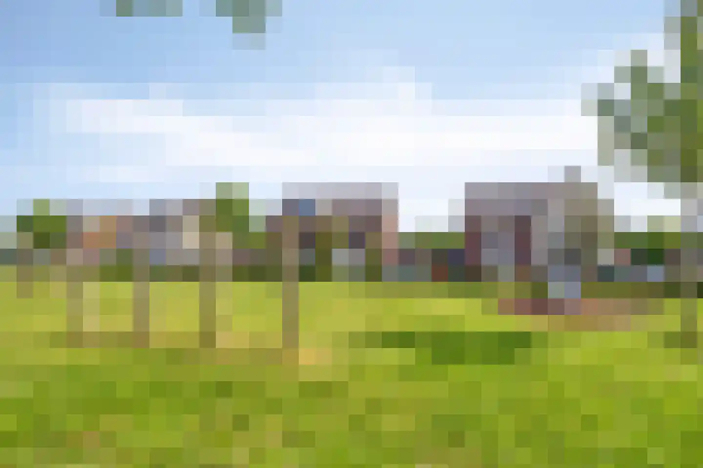 Runmolen 86 Uden thumbnail 45