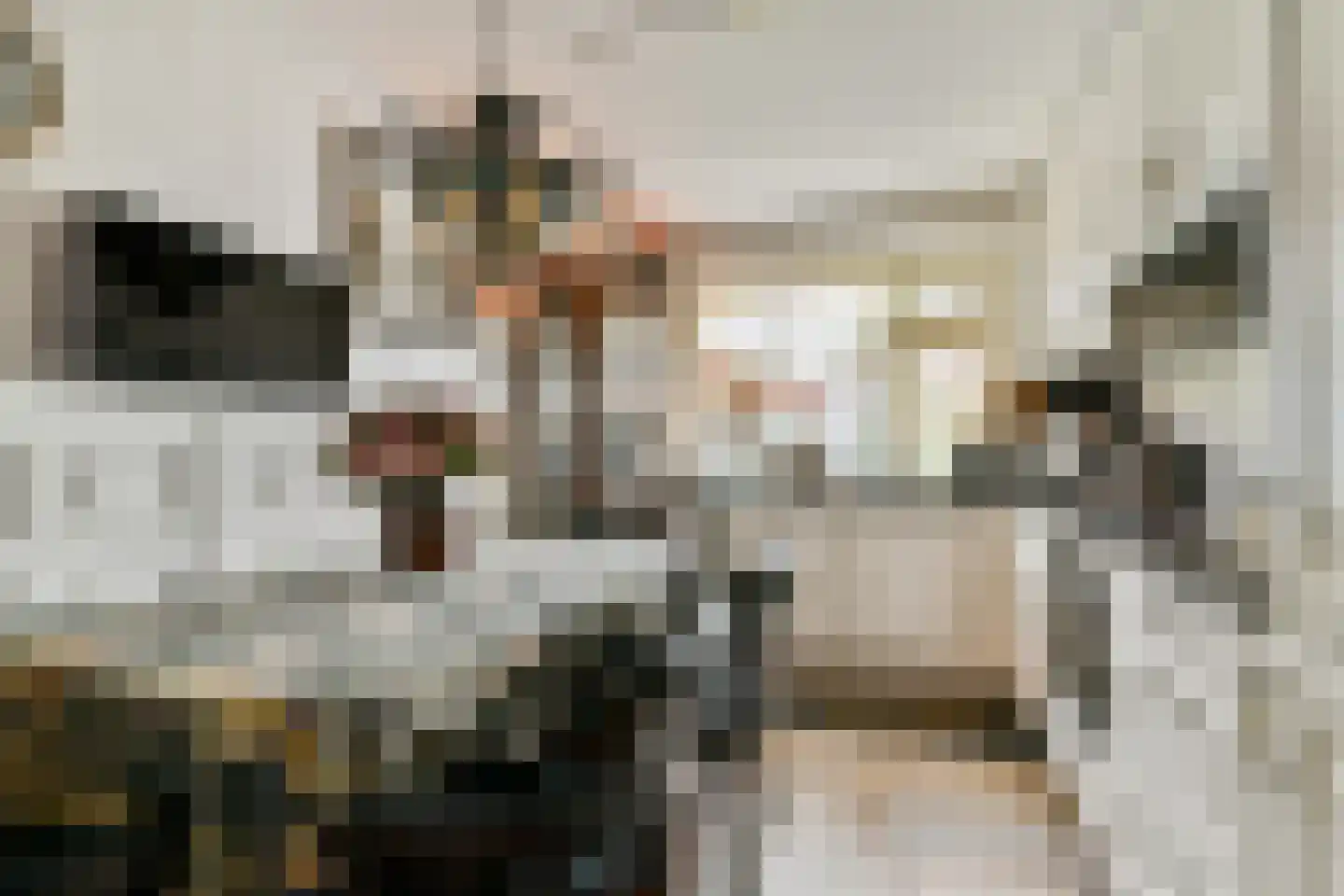 Runmolenerf 1 Gouda thumbnail 12
