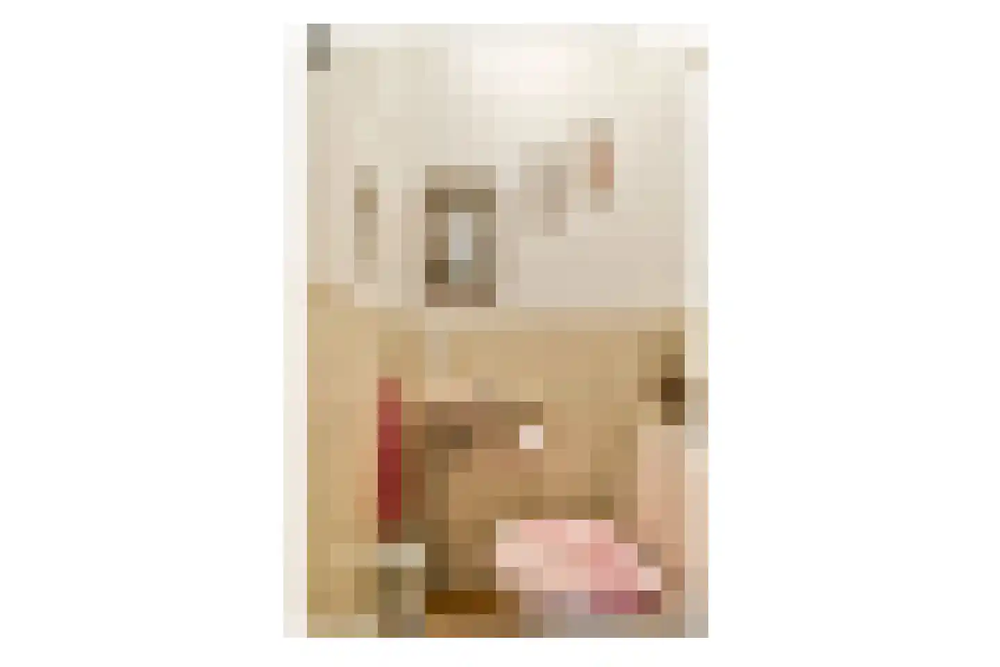 Runmolenerf 1 Gouda thumbnail 14