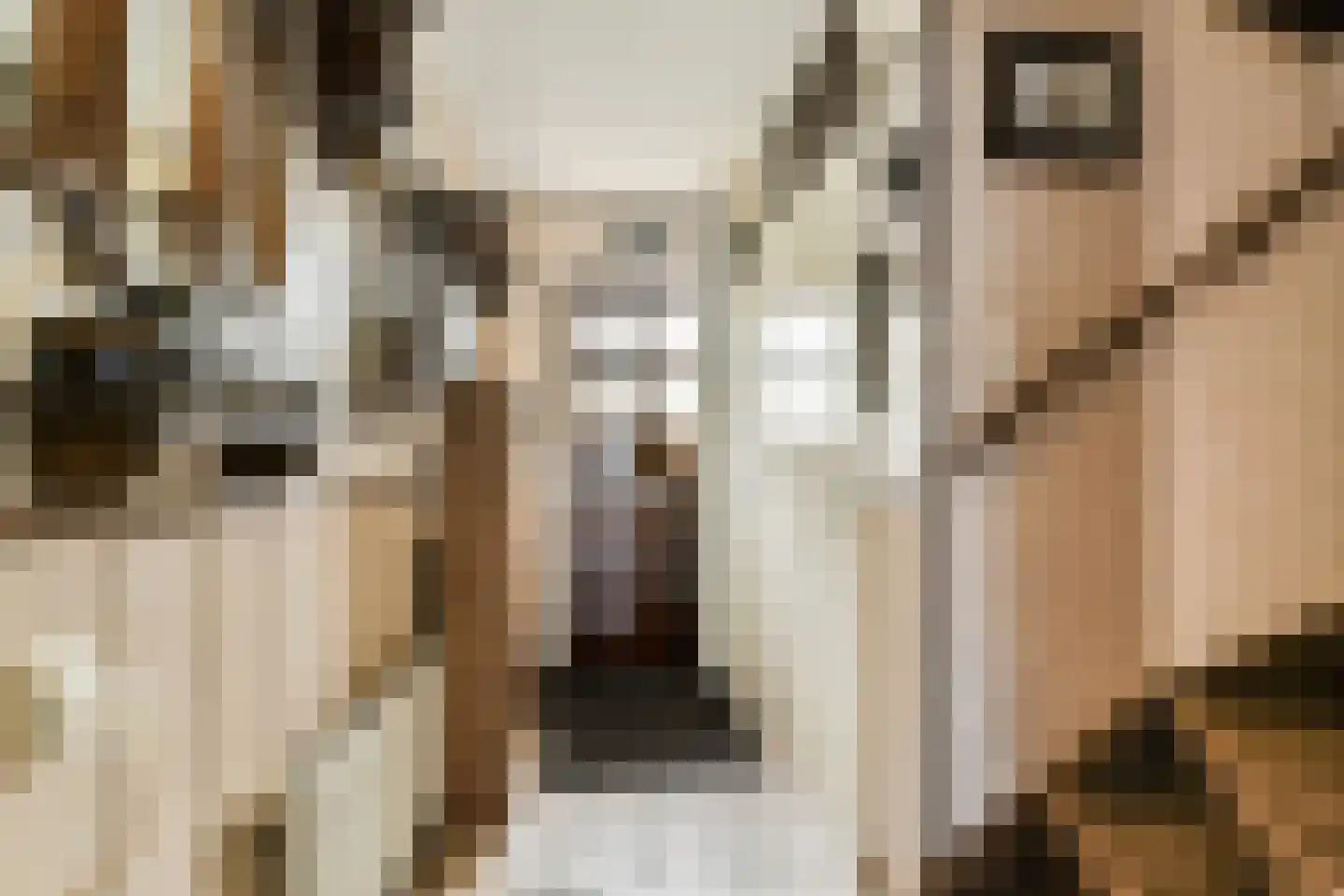 Runmolenerf 1 Gouda thumbnail 15