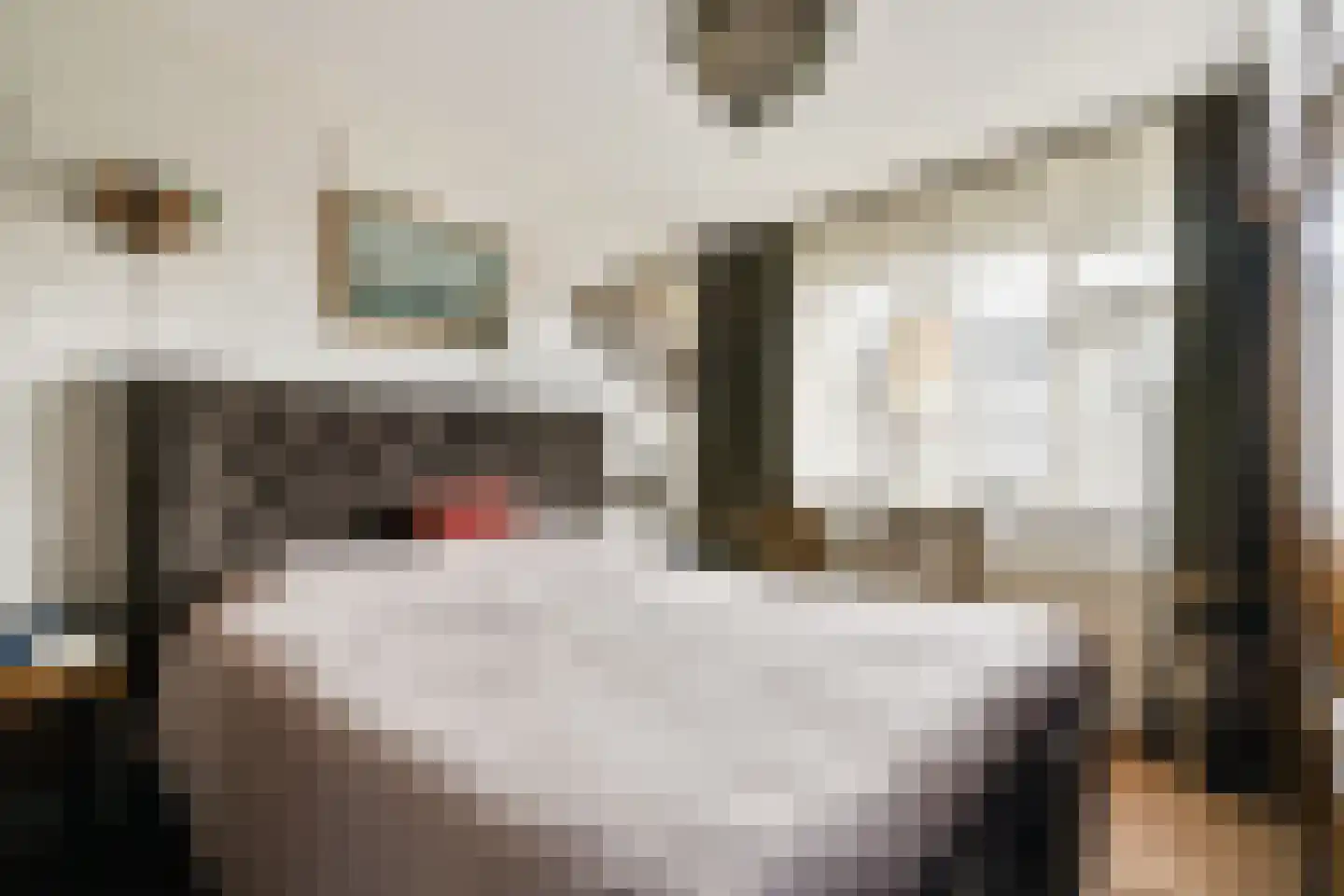 Runmolenerf 1 Gouda thumbnail 16