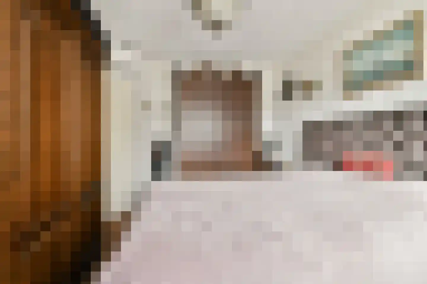 Runmolenerf 1 Gouda thumbnail 17
