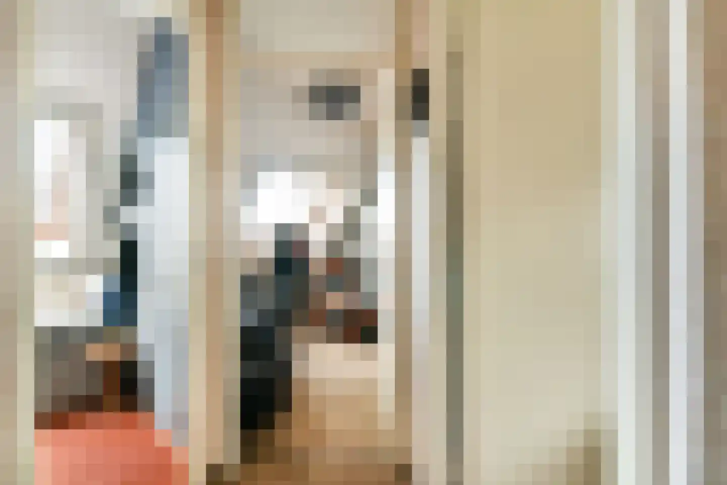 Runmolenerf 1 Gouda thumbnail 18