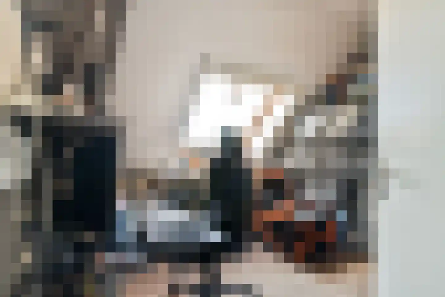 Runmolenerf 1 Gouda thumbnail 19