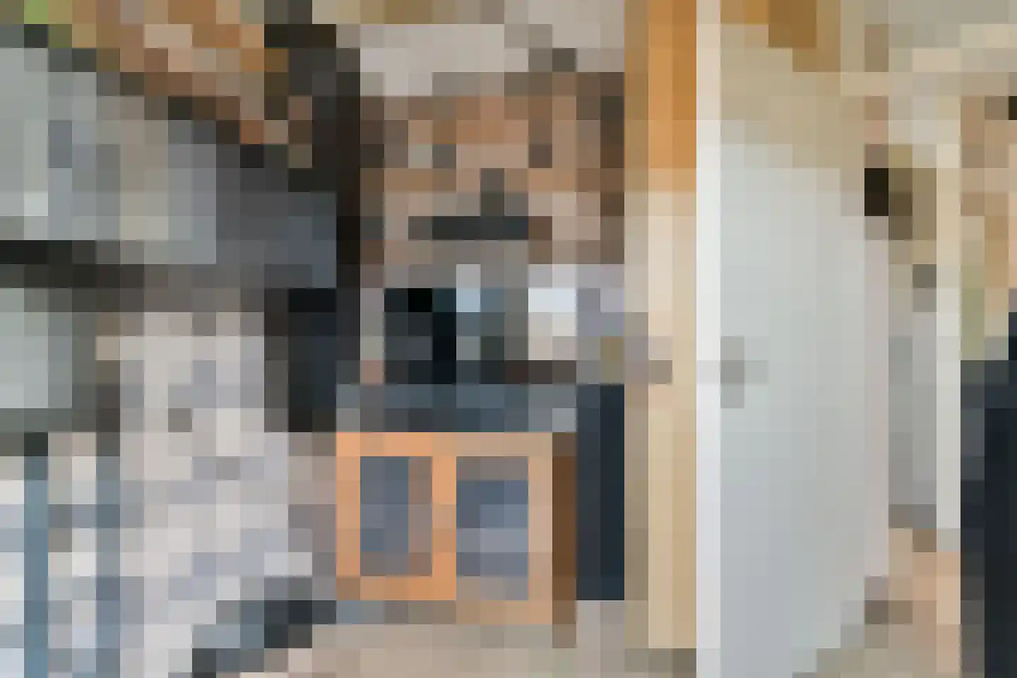 Runmolenerf 1 Gouda thumbnail 20