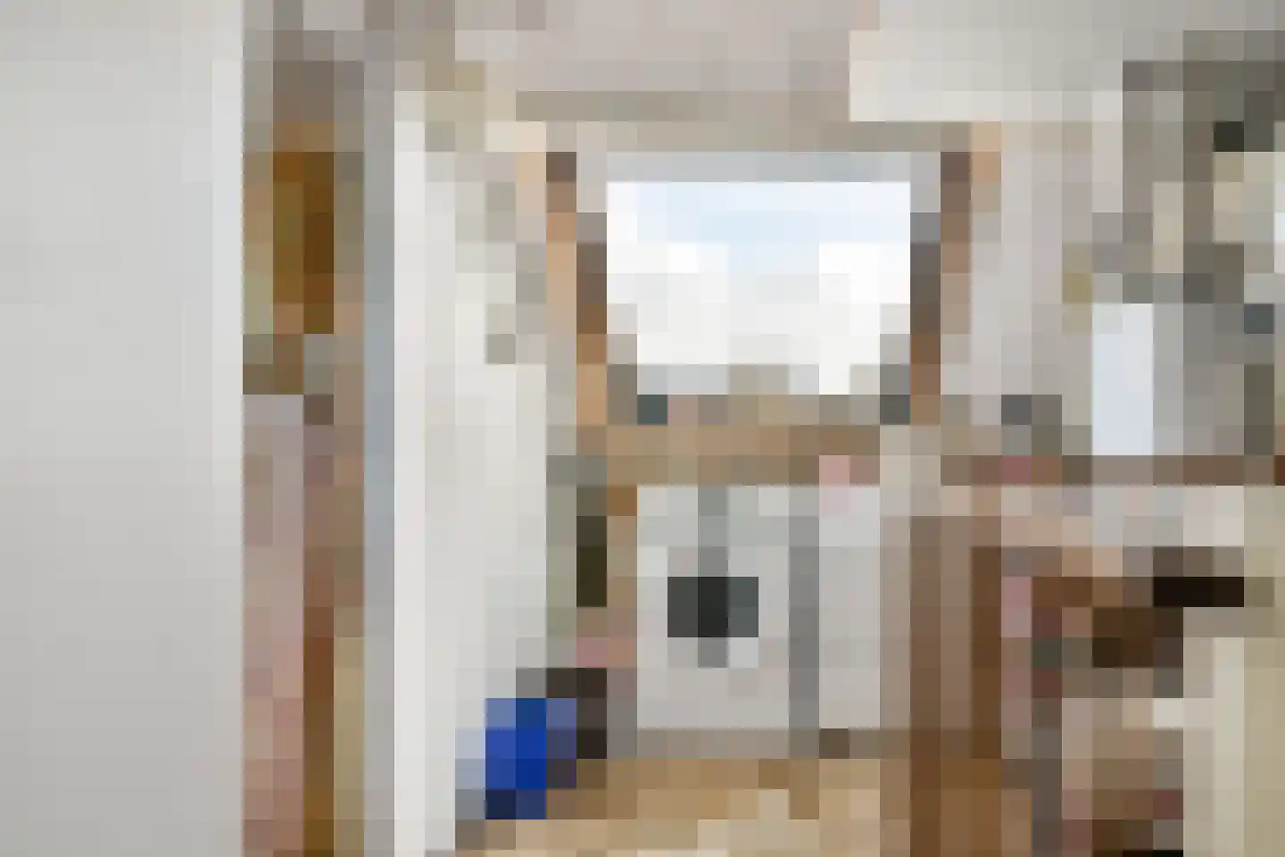 Runmolenerf 1 Gouda thumbnail 24