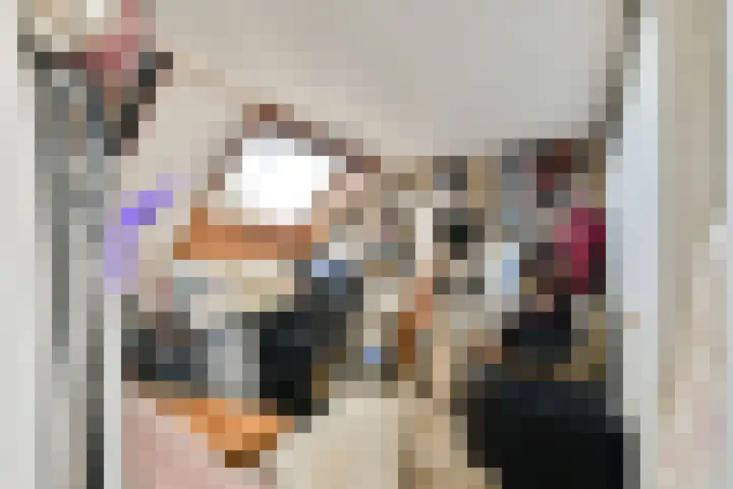 Runmolenerf 1 Gouda thumbnail 25