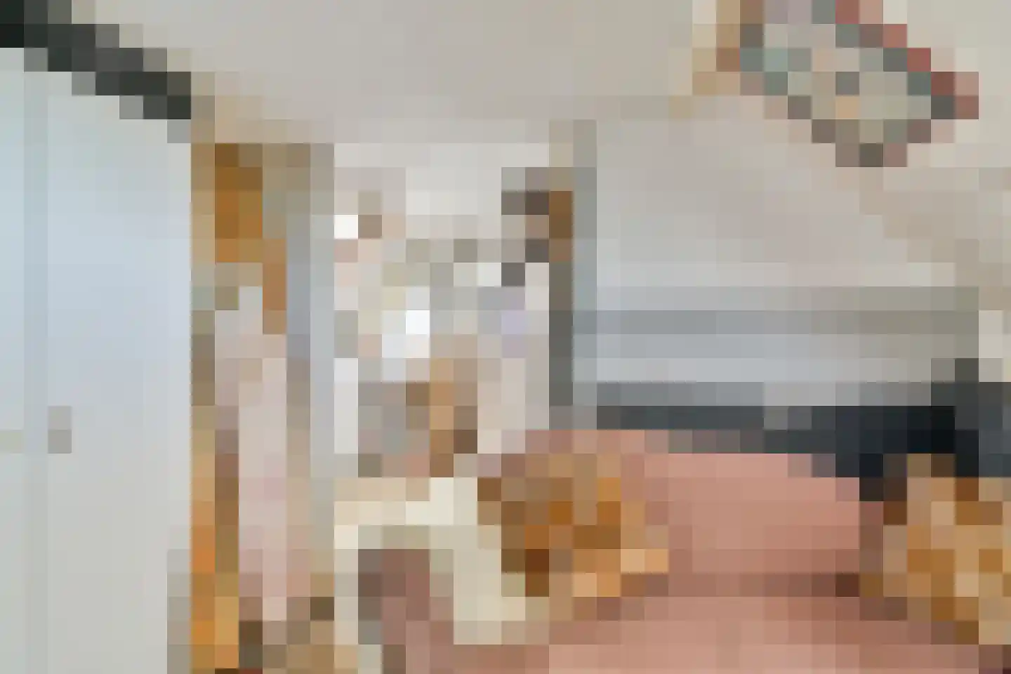 Runmolenerf 1 Gouda thumbnail 26