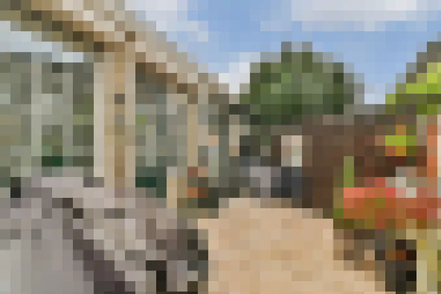 Runmolenerf 1 Gouda thumbnail 27