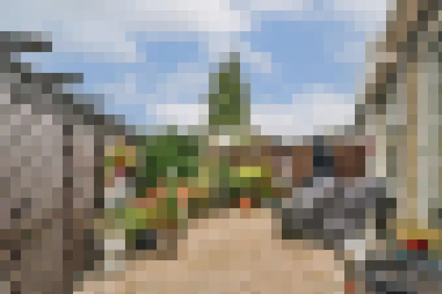 Runmolenerf 1 Gouda thumbnail 28