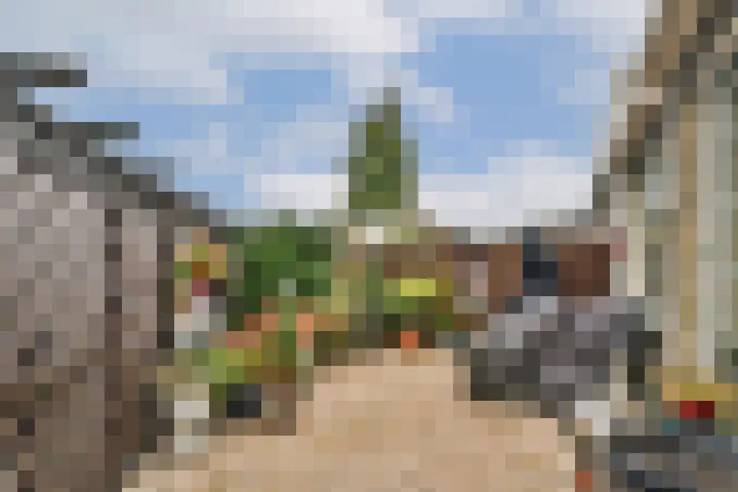 Runmolenerf 1 Gouda thumbnail 4