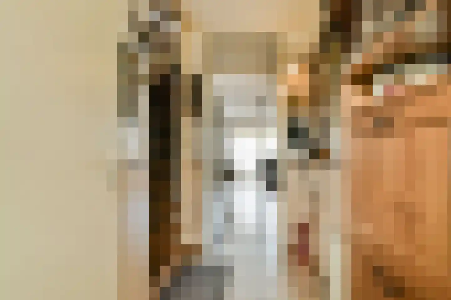 Runmolenerf 1 Gouda thumbnail 7