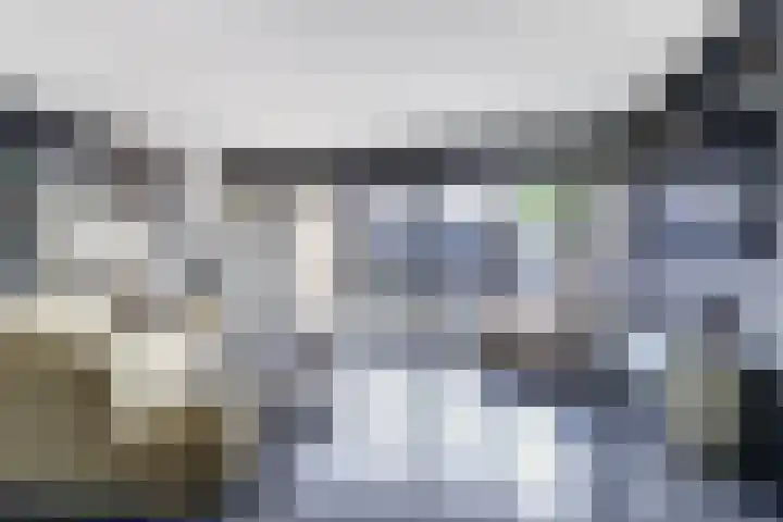 Runmolenerf 2 Gouda thumbnail 10