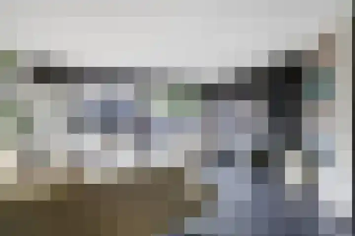 Runmolenerf 2 Gouda thumbnail 12