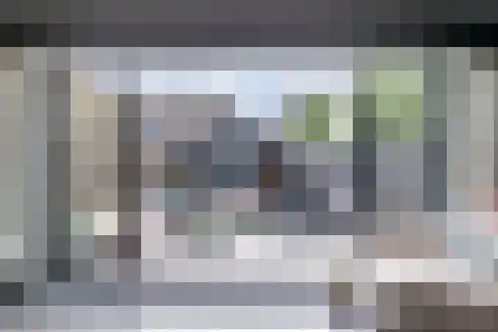 Runmolenerf 2 Gouda thumbnail 14
