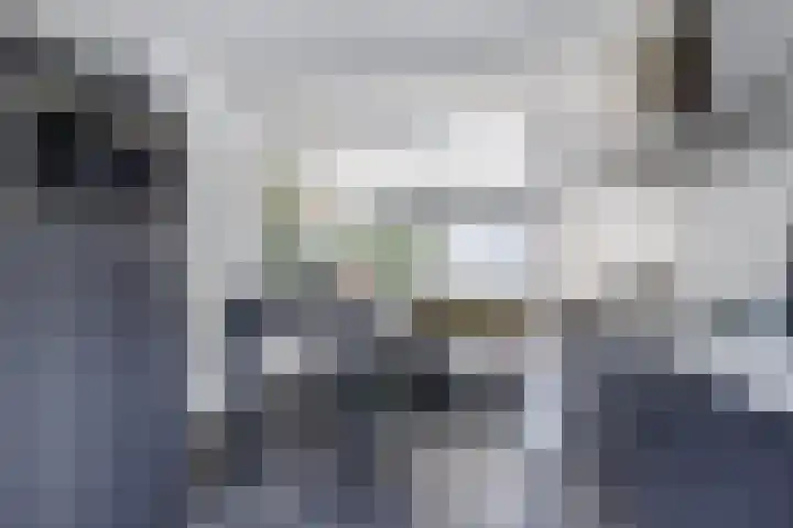 Runmolenerf 2 Gouda thumbnail 16