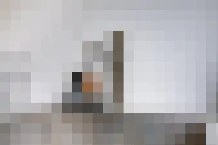 Runmolenerf 2 Gouda thumbnail 18